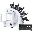 3D MultiArm 1000.webp