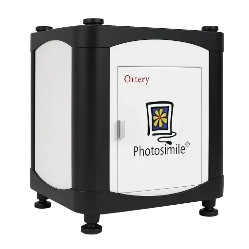 PhotoSimile 100
